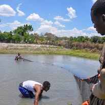 Aquaculture
