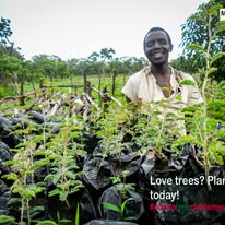 Environmental Markets