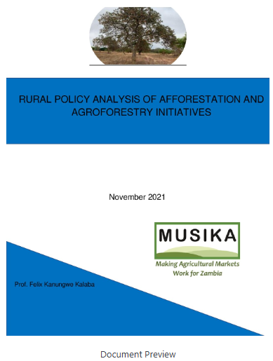 Rural policy Report Final